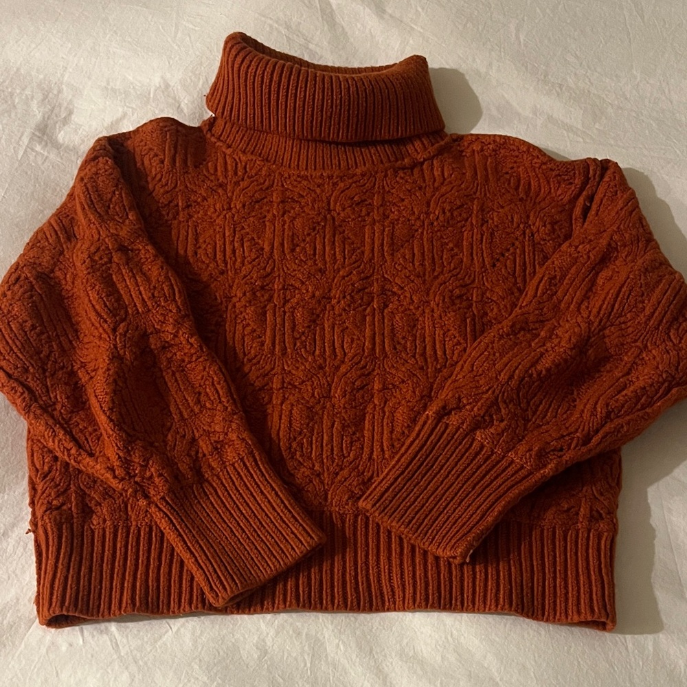 Little Moon Burnt Orange Cable Knit Turtleneck Sweater